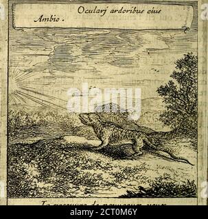 . Emblemes sacrez svr le tres-saint et tresadorable sacrement de l'evcharistie . ANT que de pareftre deuantlesluges ,ne voulans pas répandre leur Fang, quils neleufTent; meflé auec le Sang du Fils de Dieu, qui don-noit au leur yne vertu finguliere que méfélouit en c de la pasféféféfétomon Fans frémir dhorreur , fe refïbivuenant du Sang defon vainqueur, quil voyoit mefléauec le Sang des Saints , Ôc sécoiller conjointement;des playes quils enduroient pour la caufe de leurDieu , qui combattoiten leur perfonne, §c receuoietant de glorieux triomphes par ces e Stockfoto