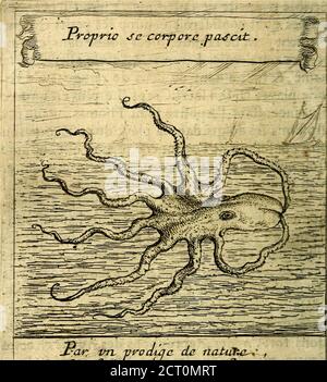 . Emblems sacrez svr le tres-saint et tresadorable sacrement de l'evcharistie . eft Point neceiîaire que nous montions au Ciel?Our y troùuer Tafile des plays de noftre R edem-?teur: Nous lesauons plus proches dans laugufte Sa-crement de r Autel. Faifons donc eftat, lors que lesùrieufes tempeftes des tentations commenceront à feeuer, que les vagues des aduerfjtez fembleront nousdeuoir engloutir, que le Ciel irrité contre nous paroi-ira nauoir que des éclairs, des tonnerres SE des car-reaux timlancer fur nos tefettes, Dimfons fort Approchons of Autels en cetterenc Stockfoto