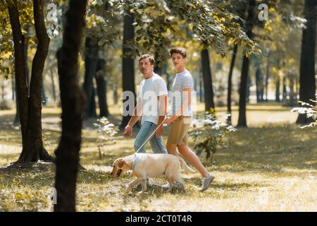 Selektiver Fokus von Vater und Teenager Sohn Blick auf die Kamera Beim Spaziergang im Park mit Golden Retriever Stockfoto