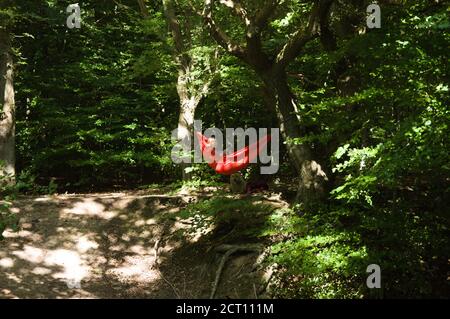 Wald mit einer Frau, die sich in einer roten Hängematte entspannt Stockfoto