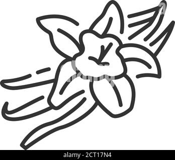 Vanilleschoten und Blume mit Beschriftung schwarze Linie Symbol. Gewürze, Gewürze. Zutat zum Kochen. Piktogramm für Webseite, mobile App, Promo. Stock Vektor