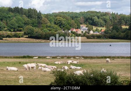 Blick auf den See Saint-Agnan im geschützten Bereich des Parc naturel régional du Morvan, Departement Nièvre, FRANKREICH. Stockfoto