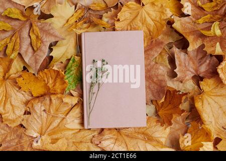 Hallo november. Herbst flach lag mit Blättern und Buch. Stockfoto