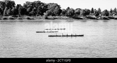Ruderboote auf dem Rhein, verschwommene Bewegung Stockfoto