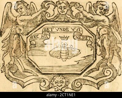 . Il zodiaco, over, idea di perfettione di prencipi : formata dall'heroiche virtù dell'illvstriss. Et eccellentiss. signore D. Antonio Alvarez di Toledo, duca d'Alba vicere di Napoli : rapresentata come in vn trionfo dal fidelissimo popolo napoletano : per Opera del dottore Francesco Antonio Scelacciauento suo : Nella pompositima Festa di San Gio. Battista, celebrata à 23. Di giugno 1629. Per il settimo anno del suo gouerno . iendo hurehhe fec&ndata la (errale recato heuanda altakruififc^*cottla Ckmenz tfteffa diufnir effetti della Giufìia neltviilità d&lt;^^9f9li:Hih9sèfperimentatcnegt Stockfoto