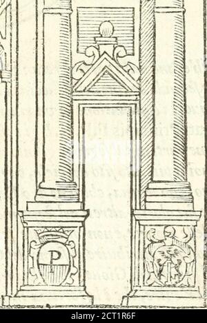 . Il zodiaco, over, idea di perfettione di prencipi : formata dall'heroiche virtù dell'illvstriss. Et eccellentiss. signore D. Antonio Alvarez di Toledo, duca d'Alba vicere di Napoli : rapresentata come in vn trionfo dal fidelissimo popolo napoletano : per Opera del dottore Francesco Antonio Scelacciauento suo : Nella pompositima Festa di San Gio. Battista, celebrata à 23. Di giugno 1629. Per il settimo anno del suo gouerno . ^BWSM^^^^.^^^^^^^^^^^^^^^^^^^^^^^^^^^^^^^^^^^^^ s IL ZODIACO, ÜBER IDEE ascondo da cartellonieleuati/opraleJìejfe,confejìoni,ó* ^M%j.yghtflìmifinimenti, qualjìrappr Stockfoto