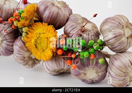 Ein mit Blumen geschmücktes Zopf aus Knoblauch vor hellem Hintergrund, aus der Nähe fotografiert Stockfoto