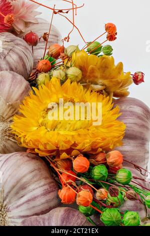 Ein mit Blumen geschmücktes Zopf aus Knoblauch vor hellem Hintergrund, aus der Nähe fotografiert Stockfoto