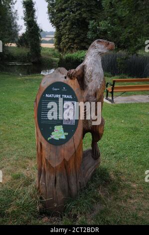 Carving auf dem Naturlehrpfad im Clare Castle Country Park, Clare, Suffolk Stockfoto