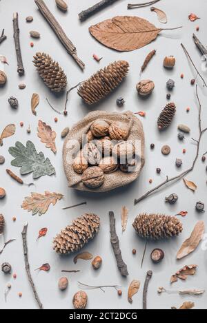 Draufsicht auf geschälte Walnüsse in umweltfreundlichem hessischen Sack auf rustikalem Holztisch mit trockenen Herbstblättern und Ästen verziert Stockfoto