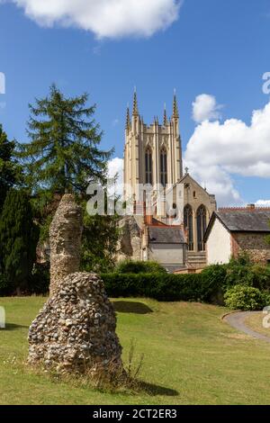 St Edmundsbury Cathedral aus der Sicht von Abbey Gardens, Bury St Edmunds, Suffolk, UK. Stockfoto