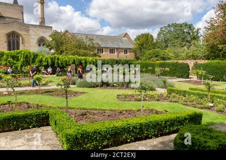 Appleby Rose Garden in Abbey Gardens, Bury St Edmunds, Suffolk, Großbritannien. Stockfoto