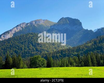 Grüne Wiese und Wald und interessante Bergkette in der Ferne An einem blauen Himmel Stockfoto