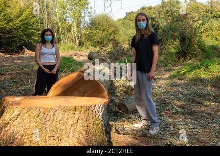 Denham, Buckinghamshire, Großbritannien. September 2020. Umweltaktivisten und Baumschützer sind bestürzt zu finden, dass HS2-Vertragspartner eine große Waldfläche im Denham Country Park freigemacht haben, einschließlich dem Fällen von reifen Eichen. Die Räumungsfläche nach Angaben von Mitgliedern des Denham Protection Camp liegt angeblich außerhalb des kartierten Bereichs, über den HS2 für die Bauarbeiten an der Hochgeschwindigkeitsstrecke zuständig ist. Quelle: Maureen McLean/Alamy Live News Stockfoto