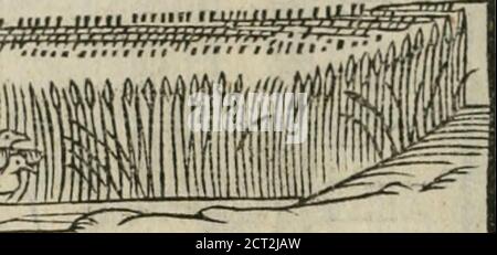 . Minerua Britanna, oder, EIN Garten von heroischen Deuises, eingerichtet, und geschmückt mit Emblemen und Impresa's von verschiedenen Naturen, . Stockfoto