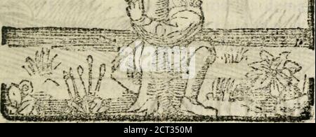 . Govierno General, Moral, y politico : hallado en las fieras, y animales sylvestres : sacado de sus naturales virtudes, y propiedades, con particular tabla para sermones varios de tiempo, y de Santos . PRO. 3^0 PROPIEDADES DB EL CAMFLLO.