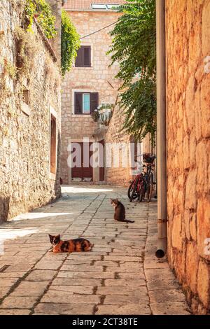 Schmale Straße von Stari Grad auf der Insel Hvar, Kroatien. Stockfoto