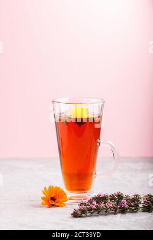Glas Kräutertee mit Ringelblume und Ysop auf grauem und rosa Hintergrund. Morninig, Frühling, gesundes Getränkekonzept. Seitenansicht, selektiver Fokus, Kopieren Stockfoto