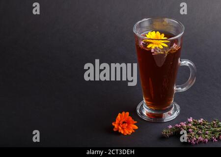 Glas Kräutertee mit Ringelblume und Ysop auf schwarzem Hintergrund. Morninig, Frühling, gesundes Getränkekonzept. Seitenansicht, Kopierbereich. Stockfoto
