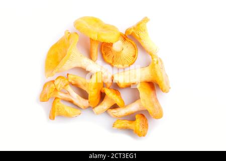 Haufen Pfifferlinge Pilze isoliert auf weißem Hintergrund. Draufsicht, Nahaufnahme. Stockfoto