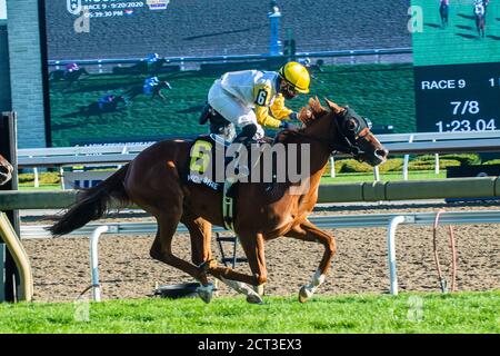 Toronto, ON - September 20: Lady Speightspeare, #6, geritten von Emma-Jayne Wilson läuft zum Sieg bei der Natalma Stakes auf Woodbine Race Course am 20. September 2020 in Toronto, Ontario. (Foto von Victor Biro/Eclipse Sportswire/Getty Images). Kredit: csm/Alamy Live Nachrichten Stockfoto