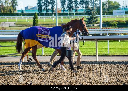 Toronto, ON - September 20: Lady Speightspeare verlässt den Winners Circle bei den Natalma Stakes auf der Woodbine Race Course am 20. September 2020 in Toronto, Ontario. (Foto von Victor Biro/Eclipse Sportswire/Getty Images). Kredit: csm/Alamy Live Nachrichten Stockfoto