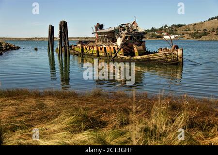 Versunkenes und zerfallenes Fischerboot an der südlichen Küste von Oregon Stockfoto