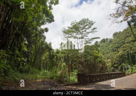 Hakalau Bay, Homakua Coast, Hawaii Stockfoto