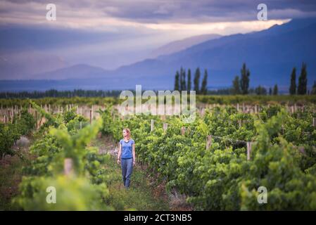 Frau in Weinbergen in den Anden auf Weinprobe Urlaub in einem Weingut in Uco Valley (Valle de Uco), einer Weinregion in der Provinz Mendoza, Argentinien, Südamerika Stockfoto