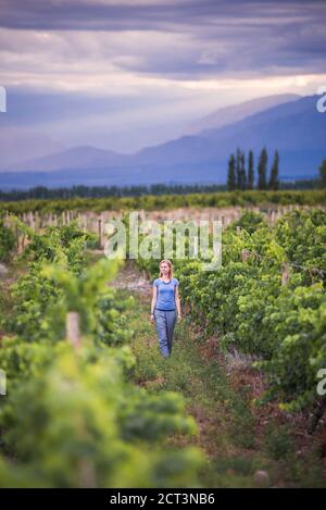 Frau in Weinbergen in den Anden auf Weinprobe Urlaub in einem Weingut in Uco Valley (Valle de Uco), einer Weinregion in der Provinz Mendoza, Argentinien, Südamerika Stockfoto