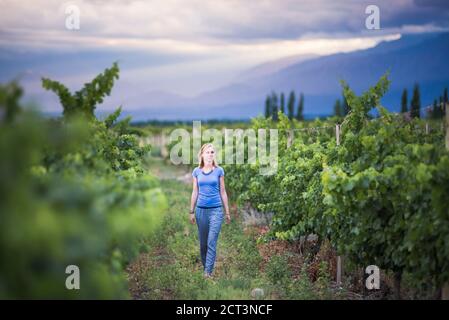 Frau in Weinbergen in den Anden auf Weinprobe Urlaub in einem Weingut in Uco Valley (Valle de Uco), einer Weinregion in der Provinz Mendoza, Argentinien, Südamerika Stockfoto