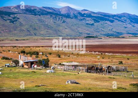 Pferde auf einer Estancia (Farm) mit Andenlandschaft, El Calafate, Patagonien, Argentinien, Südamerika Stockfoto