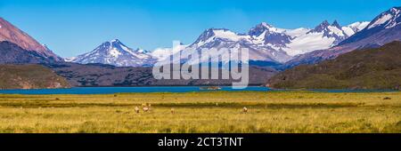Belgrano See (Lago Belgrano) und Anden Gebirge, Perito Moreno Nationalpark, Santa Cruz Provinz, Patagonien, Argentinien, Südamerika Stockfoto