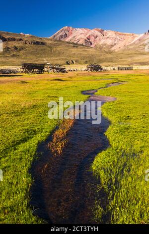 Alte Pferde und Karren in Estancia La Oriental, Perito Moreno Nationalpark, Argentinisches Patagonien, Argentinien, Südamerika Stockfoto