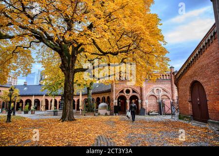 Ein Mann, der im Innenhof der Osloer Kathedrale spazierend im Herbst färben sich die Bäume im Garten der Blätter gelb und orange. Wunderschön, am Vorabend Stockfoto