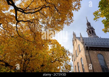 Im Innenhof der Osloer Kathedrale im Herbst werden die Bäume im Garten der Blätter gelb und orange. Schön, am Abend den Himmel ich Stockfoto