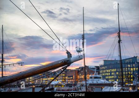 Eine Möwe stand am Abend auf einem Boot und ein schöner Nachthimmel. Am Jachthafen in Oslo, Norwegen Stockfoto