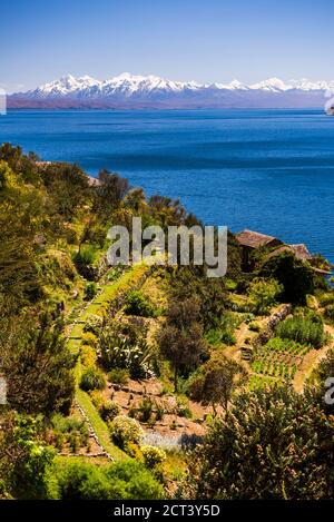 Isla del Sol (Insel der Sonne) Farmland mit Cordillera Real Mountain Range dahinter, Titicacasee, Bolivien, Südamerika Stockfoto