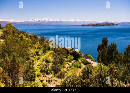 Isla del Sol (Insel der Sonne) Farmland mit Cordillera Real Mountain Range dahinter, Titicacasee, Bolivien, Südamerika Stockfoto