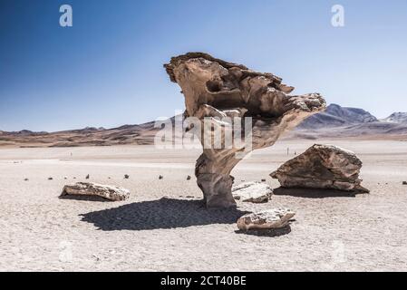 Arbol de Piedra (Steinbaum), eine Lava-gekühlte Felsformation in der Siloli-Wüste (Teil der Atacama-Wüste) im Altiplano von Bolivien, Eduardo Avaroa Andenfauna National Reserve, Südamerika Stockfoto