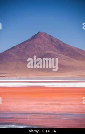 Red Lagoon (Laguna Colorada), ein Salzsee im Altiplano von Bolivien im Eduardo Avaroa Andenfauna National Reserve, Südamerika Stockfoto