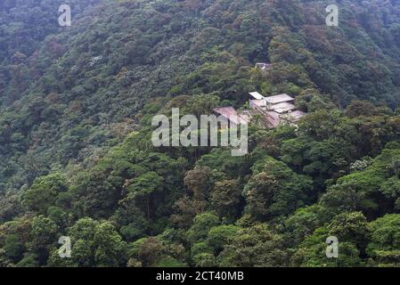 Ecuador. Mashpi Lodge, Choco Cloud Forest, ein Regenwald in der Pichincha Provinz von Ecuador, Südamerika Stockfoto