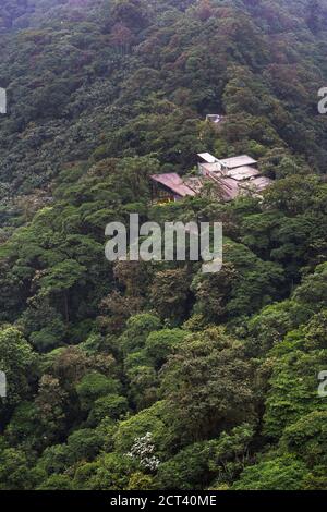 Ecuador. Mashpi Lodge, Choco Cloud Forest, ein Regenwald in der Pichincha Provinz von Ecuador, Südamerika Stockfoto