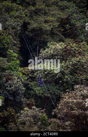 Ecuador. Zwei Personen auf dem Mashpi Lodge Sky Bike im Choco Regenwald, Ecuador, Südamerika Stockfoto