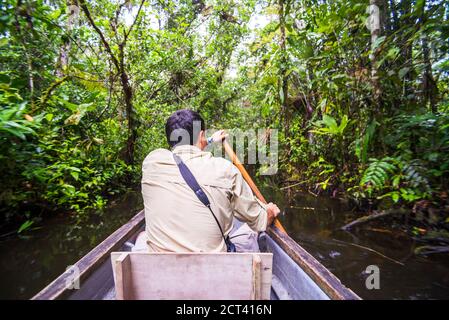 Kanufahrt im Amazonas Regenwald, Coca, Ecuador, Südamerika Stockfoto