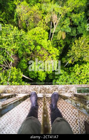 Vogelbeobachtungsplattform im Amazonas Regenwald in der Sacha Lodge, Coca, Ecuador, Südamerika Stockfoto