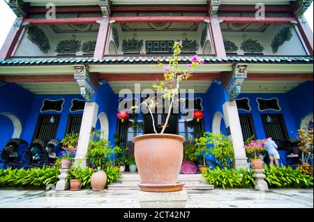 Pflanzen im Cheong Fatt Tze Mansion in George Town, Penang, Malaysia, Südostasien Stockfoto