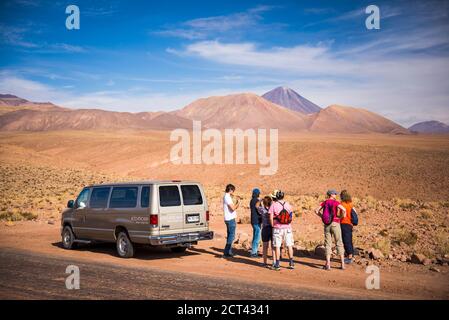 Alto Atacama Desert Lodge Ausflug zum Cactus Valley (Los Cardones Schlucht), Atacama Wüste, Nord Chile, Südamerika Stockfoto