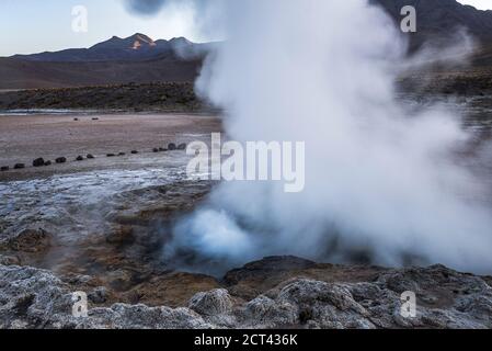 El Tatio Geysire (Geysire del Tatio), das größte Geysir-Feld der südlichen Hemisphäre, Atacama-Wüste, Nord-Chile, Südamerika Stockfoto