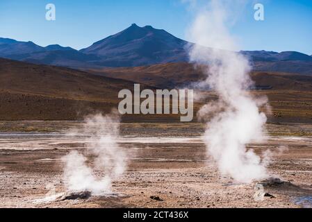 El Tatio Geysire (Geysire del Tatio), das größte Geysir-Feld der südlichen Hemisphäre, Atacama-Wüste, Nord-Chile, Südamerika Stockfoto